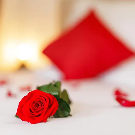 Escapade Au Cocon Des Plaisirs Secrets &sauna